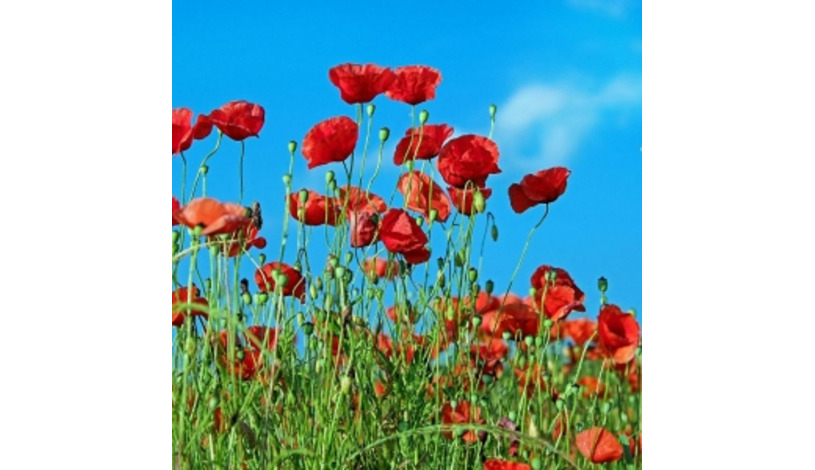 Wellness Hotel Astra*** superior Špindlerův Mlýn